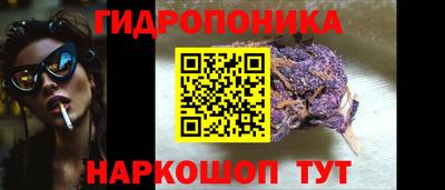 сатива Камышлов